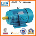 Y series three phase 132kw 2980rpm electric motor